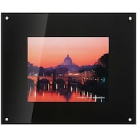 浅沼商会 フジカラー プロフレーム 特寸フリーS ブラック PROFRAMTFSBK 1枚