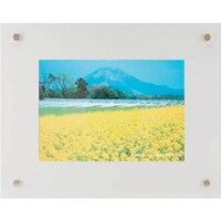 �������@�t�W�J���[�@�v���t���[���@�L���r�l�@�V���o�[�@�o�q�n�e�q�`�l�d�j�r�@�P��