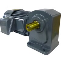 シグマー シグマー 高効率IE3、直行中空軸三相1500W脚取付形ブレーキ付きギアモーター 減速比1/15 TMHLB15E15 1台