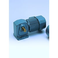 シグマー シグマー 高効率IE3、直行中空軸三相1500W脚取付形ギアモーター 減速比1/15 TMHL15E15 1台