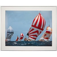 �������@�t�W�J���[�@�t�H�g�t���[���`�P�O�T�`�@�V���o�[�@�S���@�`�P�O�T�`�y�r�k�@�P��