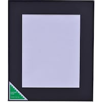 浅沼商会 フジカラー アルミ額縁 A300 全紙 A300Z 1枚