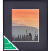 浅沼商会 フジカラー アルミ額縁 A300 4切 A3004 1枚