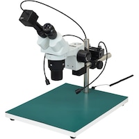 �z�[�U���@�g�n�y�`�m�@���̌������i�o�b�p�j�@�k�j�h�s�P�O�U�X�@�P��