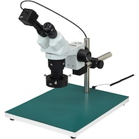 �z�[�U���@�g�n�y�`�m�@���̌������i�o�b�p�j�@�k�j�h�s�P�O�U�W�@�P��