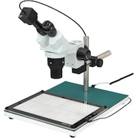 �z�[�U���@�g�n�y�`�m�@���̌������i�o�b�p�j�@�k�j�h�s�P�O�V�S�@�P��