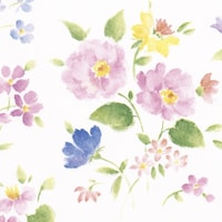 �T�T�K���@�T�T�K���@����@����@�ԂÂ����@�S���@�S�X�O�Q�T�Q�P�@�S�X�Q�T�Q�P�@�P���i�T�O���j