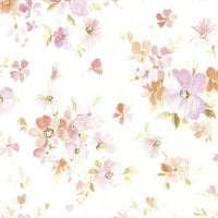 �T�T�K���@�T�T�K���@����@����@���t�B�l�@���˔��@�S�X�O�P�T�T�Q�@�S�X�P�T�T�Q�@�P���i�T�O���j