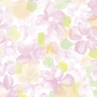 �T�T�K���@�T�T�K���@����@����@�A���[���@���˔��@�S�X�O�P�T�O�Q�@�S�X�P�T�O�Q�@�P���i�T�O���j