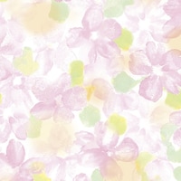 �T�T�K���@�T�T�K���@����@����P�O�����[���@�A���[���@���˔��@�S�X�O�V�T�T�Q�@�S�X�V�T�T�Q�@�P�{�i�P�O���j