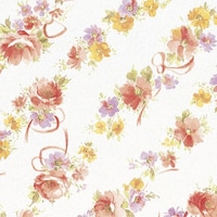 �T�T�K���@�T�T�K���@����@����@�t�����[�����N�@���˔��@�S�X�O�P�T�R�T�@�S�X�P�T�R�T�@�P���i�T�O���j