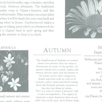 �T�T�K���@�T�T�K���@����@����@�J�[�f�B�A���O���[���@���˔��@�S�X�O�P�S�Q�O�@�S�X�P�S�Q�O�@�P���i�T�O���j