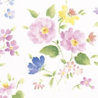 �T�T�K���@�T�T�K���@����@����@�ԂÂ����@���˔��@�S�X�O�P�T�Q�P�@�S�X�P�T�Q�P�@�P���i�T�O���j