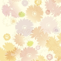 �T�T�K���@�T�T�K���@����@����@�^���C�A�@���˔��@�S�X�O�P�T�O�U�@�S�X�P�T�O�U�@�P���i�T�O���j