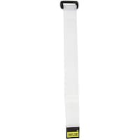 RIPTIE RIPTIE シンチストラップ 25.4mmX228.6mm 100本入 白 N09100W 1Pk(100本)