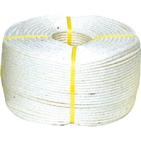 ���c��H�Ɓ@���c��@�r�j���������Ń��[�v�@�X�~�R�O�O���@�V�T�U�Q�@�P��