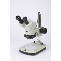 �J�[�g���@�J�[�g���@�m�r�v�Q�h�s�@���̌������@�����{���Q�O�{�@�l�R�W�P�P�Q�U�@�P��