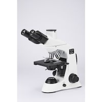 �J�[�g���@�J�[�g���@�b�h�R�O�O�s�@�����������O��^�C�v�@�����{���S�O�{�[�P�O�O�O�{�@�y�T�O�O�R�@�P��