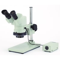 �J�[�g���@�J�[�g���@�m�r�v�S�O�r�a�f�r�Q�U�O�@���̌������@�����{���Q�O�{�E�S�O�{�@�l�R�X�X�S�Q�U�@�P��