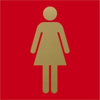 �q�J���@���@�L�����G�[�^�[�@�X�e�����X�`�^���S�[���h�@�����}�[�N�@�ԁ@�s�f�R�R�Q�Q�@�P��