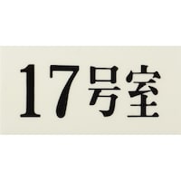 ヒカリ 光 プレート 35×70×2 17号室 UP30017 1枚