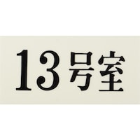 ヒカリ 光 プレート 35×70×2 13号室 UP30013 1枚