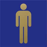 ヒカリ 光 キャリエーター ステンレスチタンゴールド 男性マーク 青 TG3313 1枚