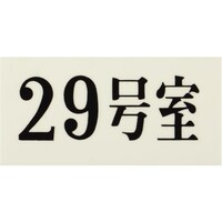 ヒカリ 光 プレート 35×70×2 29号室 UP30029 1枚