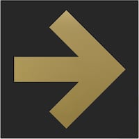 ヒカリ 光 キャリエーター ステンレスチタンゴールド 矢印 黒 TG3317 1枚