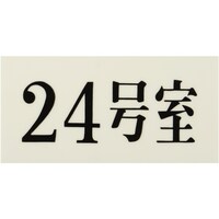 ヒカリ 光 プレート 35×70×2 24号室 UP30024 1枚