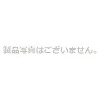 岩田製作所 IWATA アローインサート/BH(1000個入) BHP40X2.0P 1箱(1000個)