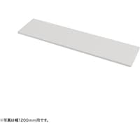 サンワサプライ SANWA 中棚W1150ミリ用(ホワイト・D260ミリ) EN1153W 1台