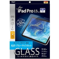 ナカバヤシ ナカバヤシ iPadPro13インチガラスフィルム/光沢ブルーライトカット TBFIPP242GKBC 1個