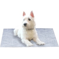 �A�C���f�B�A�@�A�C���f�B�A�@�y�b�g�̂��߂̂Ђ���}�b�g�@�S�T�~�U�O�@�P�O�P�O�P�Q�W�@�P��