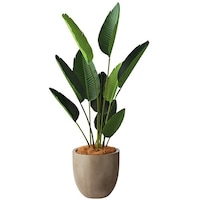 �m�`�h�j�h�@�l�H���؁i�I�[�K�X�^�j�@�`�f�U�O�P�q�o�l�f�k�@�P��