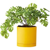 �m�`�h�j�h�@�l�H���؁i�����X�e���u�b�V���@�`�f�e�P�P�O�s�q�o�x�@�P��