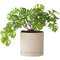 �m�`�h�j�h�@�l�H���؁i�����X�e���u�b�V���@�`�f�e�P�P�O�s�q�o�f�@�P��