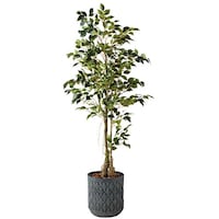 �m�`�h�j�h�@�l�H���؁i�t�@�C�J�X�c���[�j�@�`�f�e�P�R�P�q�o�a�k�@�P��