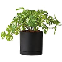 �m�`�h�j�h�@�l�H���؁i�����X�e���u�b�V���@�`�f�e�P�P�O�s�q�o�a�@�P��