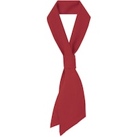 �T�[�E�J�H�@�T���y�b�N�X�@�����@�R�b�N�^�C�@�V�F�t�@�X�J�[�t�@���H�X�@���b�h�@�e�@�`�m�W�P�O�O�d�R�e�@�P��