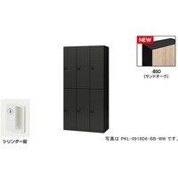NAIKI パーソナルロッカー(6人用) ポッケ PKL型/扉:サンドオーク 本体:ブラック/W900×D450×H1800 PKL09186BSO 1台