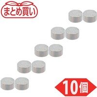 トラスコ中山 TRUSCO まとめ買い ネオジム磁石 丸形 外径1mmX厚み0.5mm 10個入 TN1T05R10P 1Pk(10個)