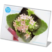 �n�N�o�@�n�N�o�@�z���@�A�N�����@�k�t���[���@�j�f�@���@�g�j�a�O�P�T�O�V�T�V�@�P��