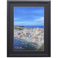 ハクバ ハクバ 額縁 木製額縁 FW04 ブラック A3ノビ HKB0149678 1枚