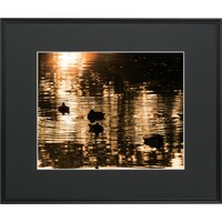 �������@�t�W�J���[�@���C�h�}�b�g�t���[���@�`�R�R�O�O�@���؁@�`�R�R�O�O�g�@�P��