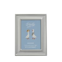 浅沼商会 フジカラー メタルカラーフレーム HLサイズ シルバー 3401HL 1枚