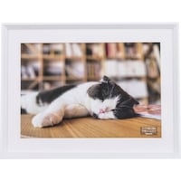 �i�J�o���V�@�i�J�o���V�@�ؐ��ʐ^�z�@�v�l�c�؁^�z���C�g�@�e�r�v�P�Q�R�v�@�P��