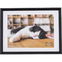 �i�J�o���V�@�i�J�o���V�@�ؐ��ʐ^�z�@�`�S�^�u���b�N�@�e�r�v�P�Q�P�c�@�P��