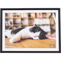 �i�J�o���V�@�i�J�o���V�@�ؐ��ʐ^�z�@�`�R�^�u���b�N�@�e�r�v�P�Q�S�c�@�P��