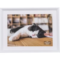 �i�J�o���V�@�i�J�o���V�@�ؐ��ʐ^�z�@�`�S�^�z���C�g�@�e�r�v�P�Q�P�v�@�P��